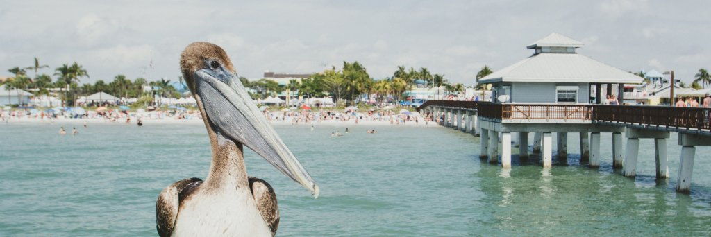 Nick Carr 🛡️ banner