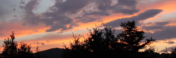 noplia3 Profile Banner