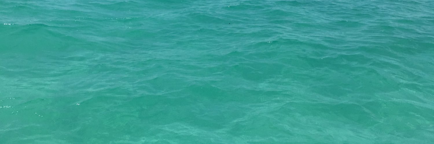 JessSillett's profile banner image