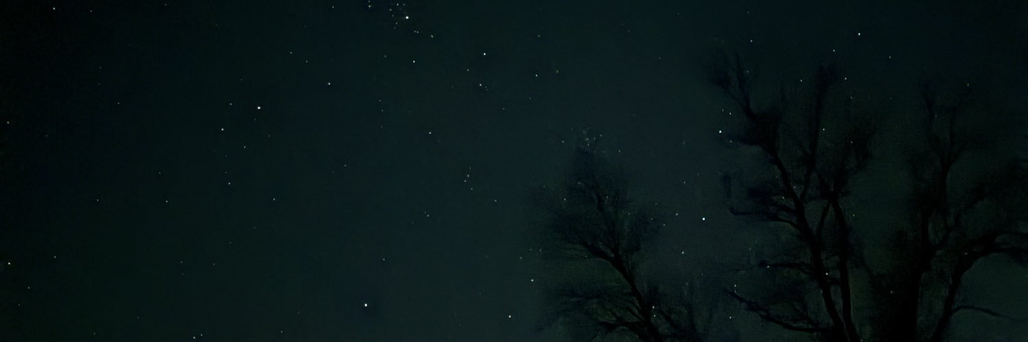 Catnightwing1's profile banner image