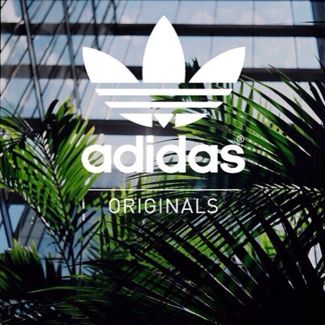 Dope_Mizzle's profile banner image