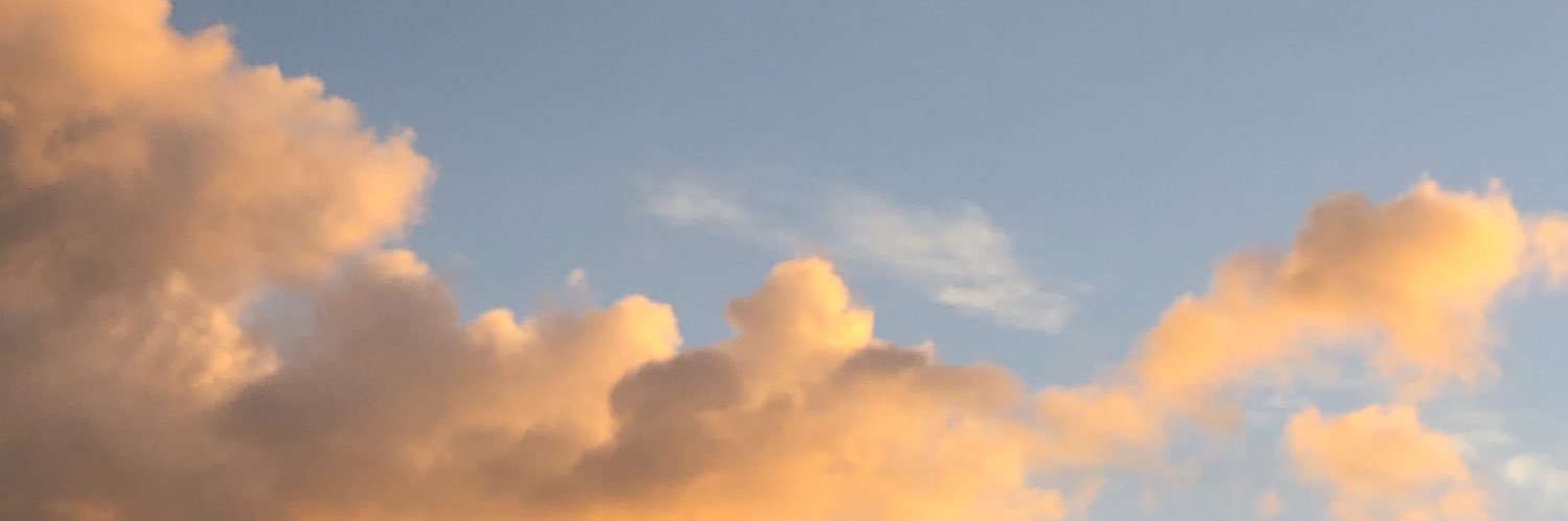 luisagrob's profile banner image