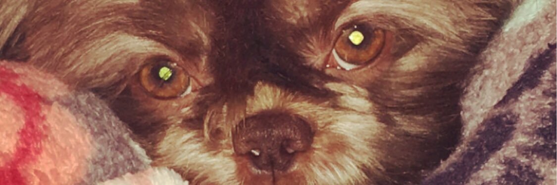 diondra_b's profile banner image