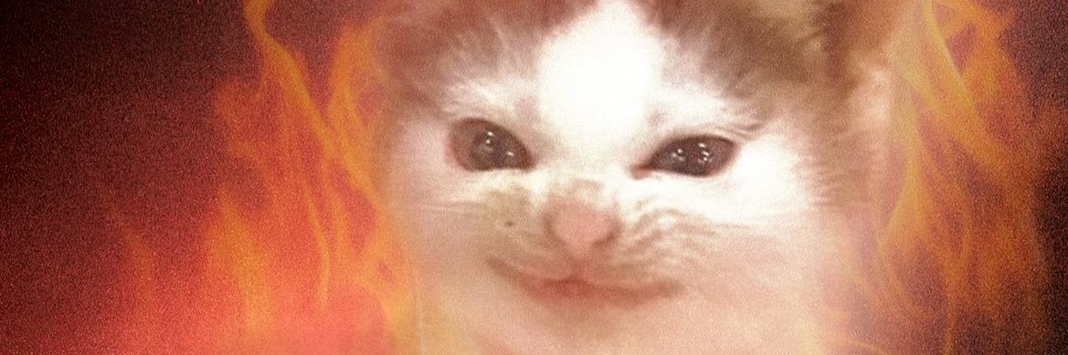 roslynaschmidt's profile banner image