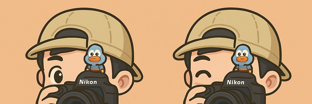 菠萝是黄色的 banner