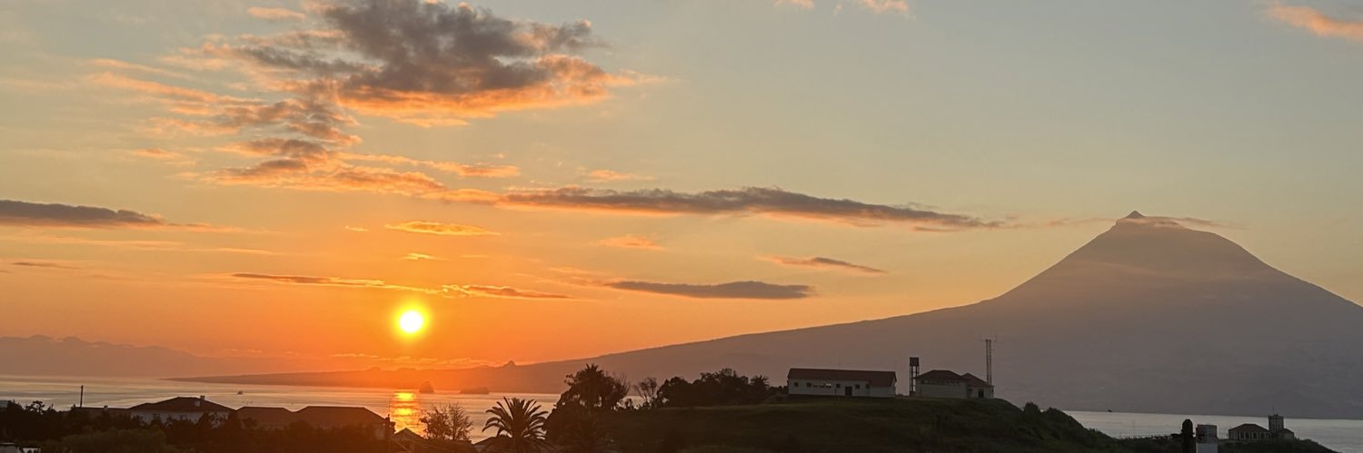 margaaridamc's profile banner image