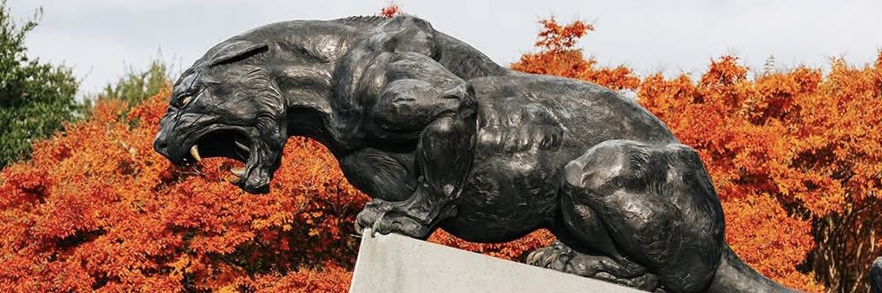 Disturbed Panther🟦 banner