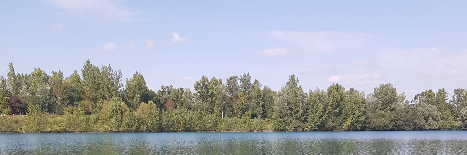 ferranfreixes's profile banner image