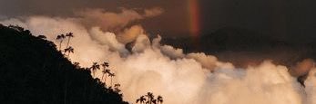 mattsky_'s profile banner image