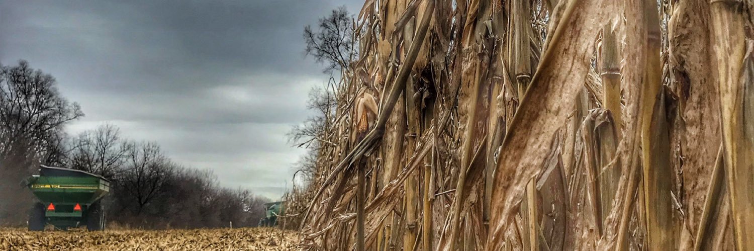 krossfarms's profile banner image