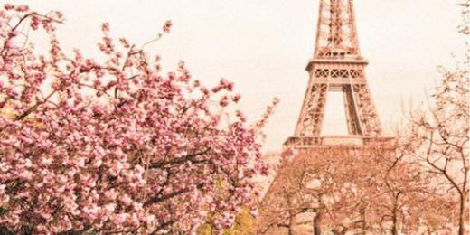 thecaamiJB's profile banner image