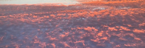 The_Gamer_Lab Profile Banner