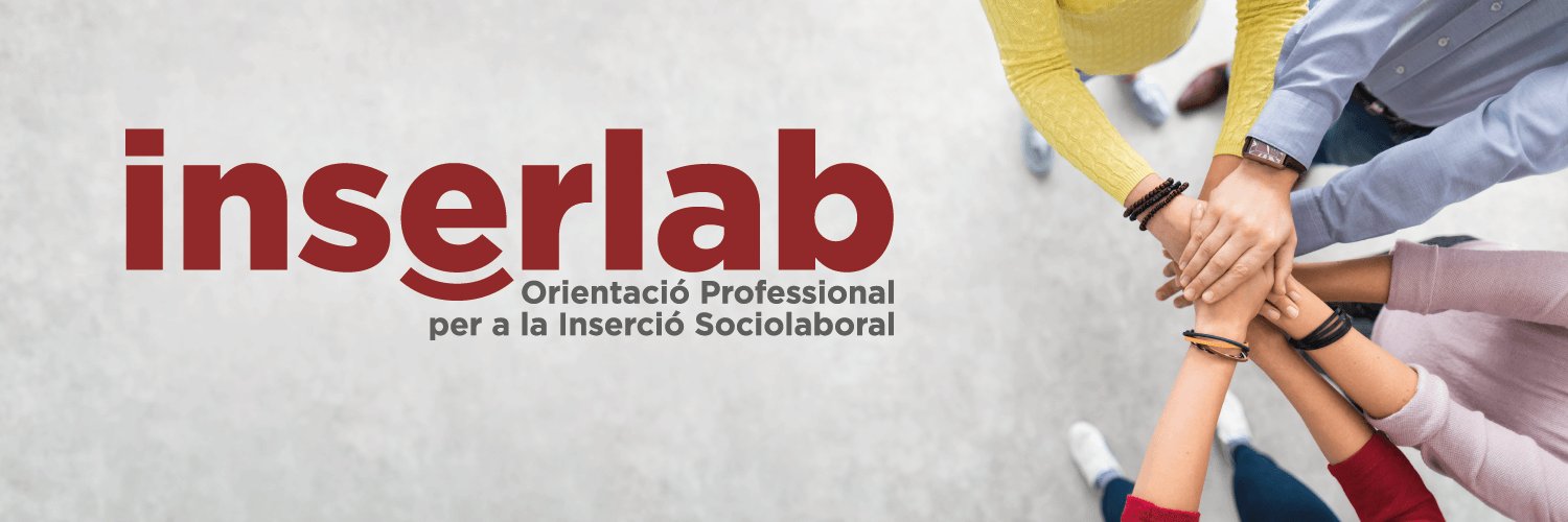 inserlabURV's profile banner image