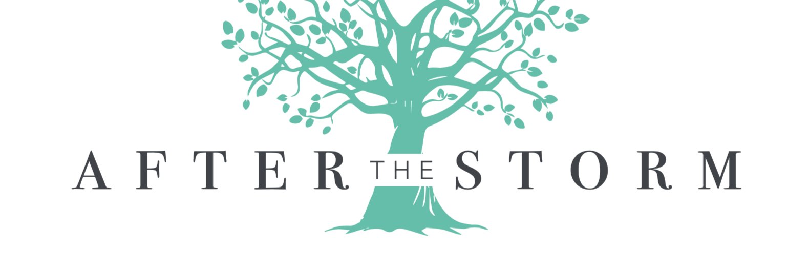AftertheStorm banner
