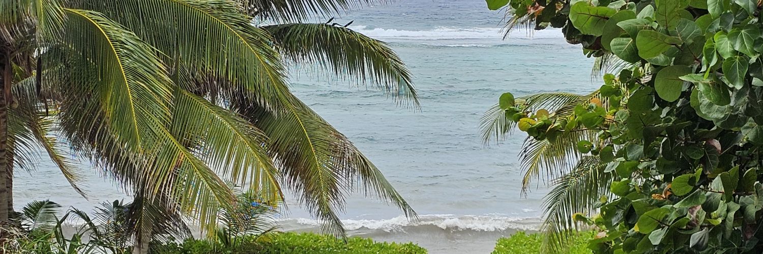 psychetigger's profile banner image