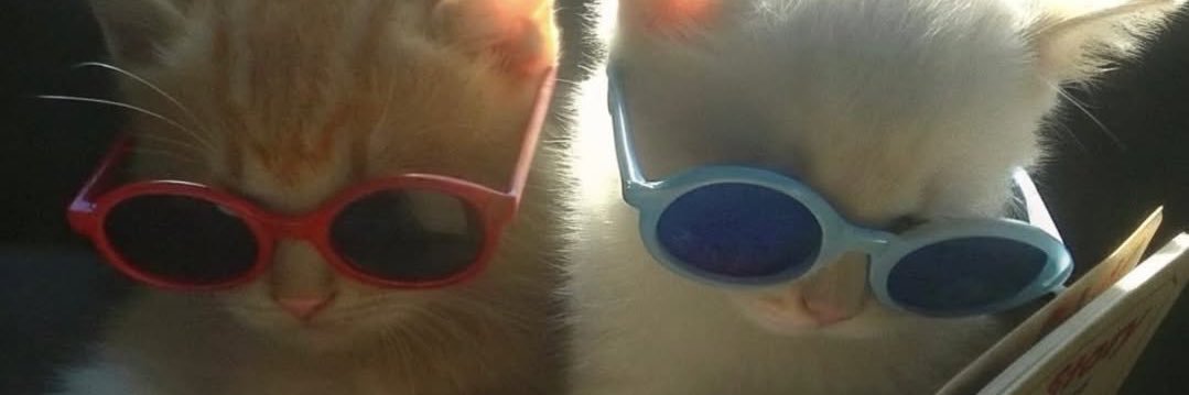 mkycld's profile banner image