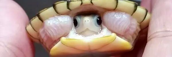CaraMegahan's profile banner image