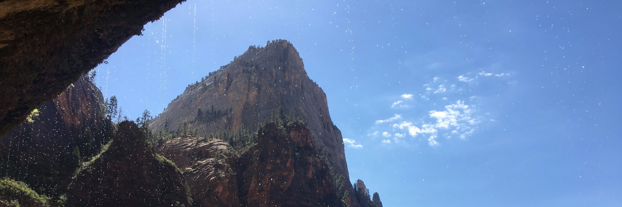 Kaitlin Sampson banner