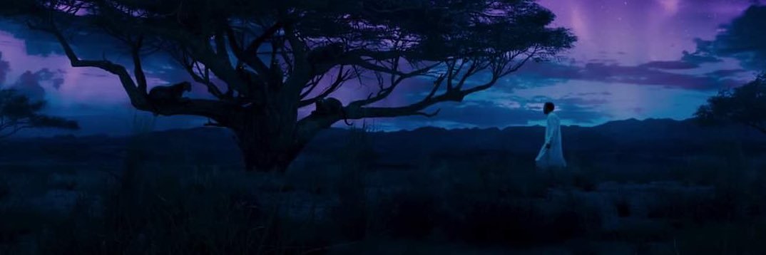 dhardy98's profile banner image
