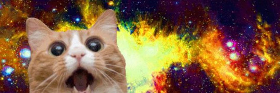 micasan's profile banner image