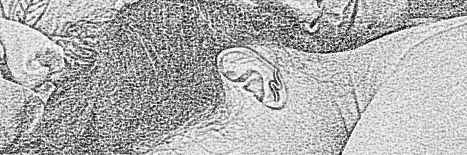Nur54466400's profile banner image