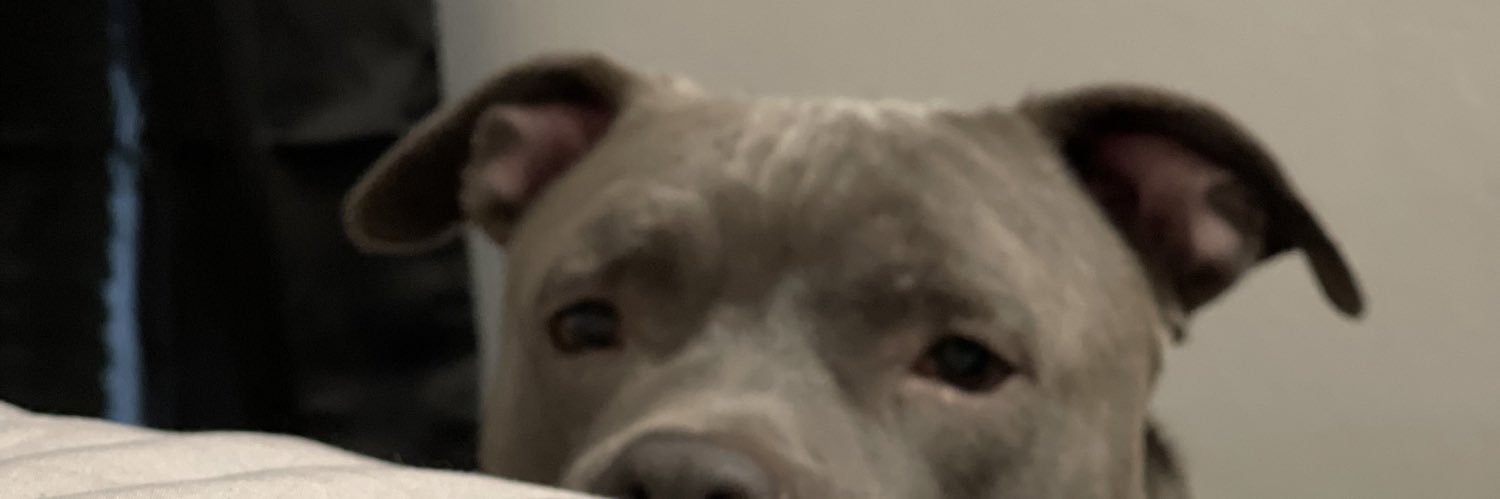 bspaulding96's profile banner image