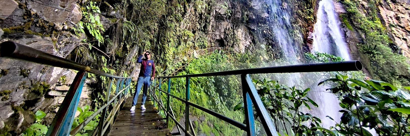 David Pariona banner