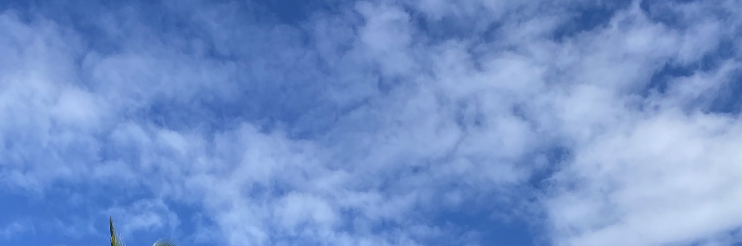 Hannah Brown banner