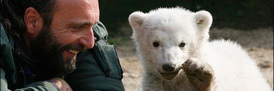 ZeynepRan🐞 banner