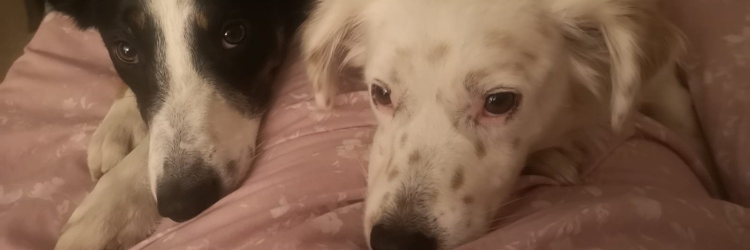 amandarich78's profile banner image