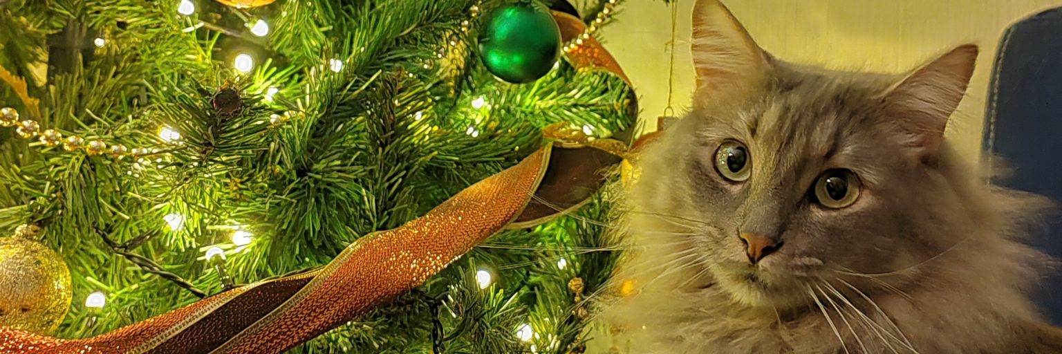 Marialefq's profile banner image