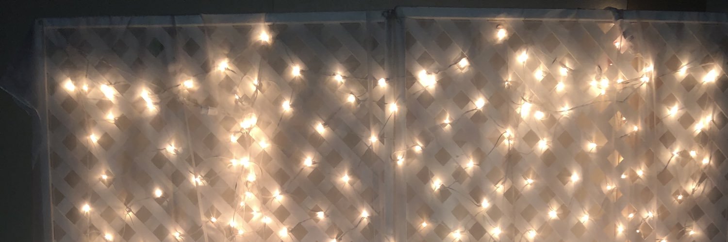 erin3499's profile banner image