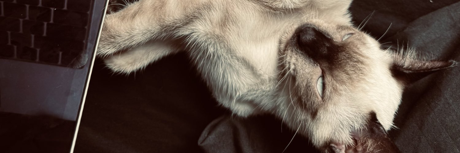 BodaRiddy's profile banner image