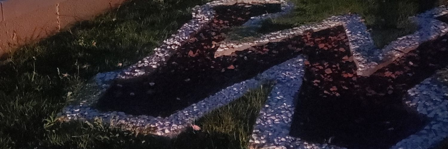 Dr. Scott Voelkl banner