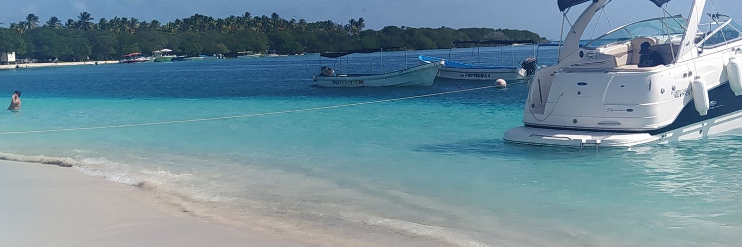 Cesar E. Cardona banner