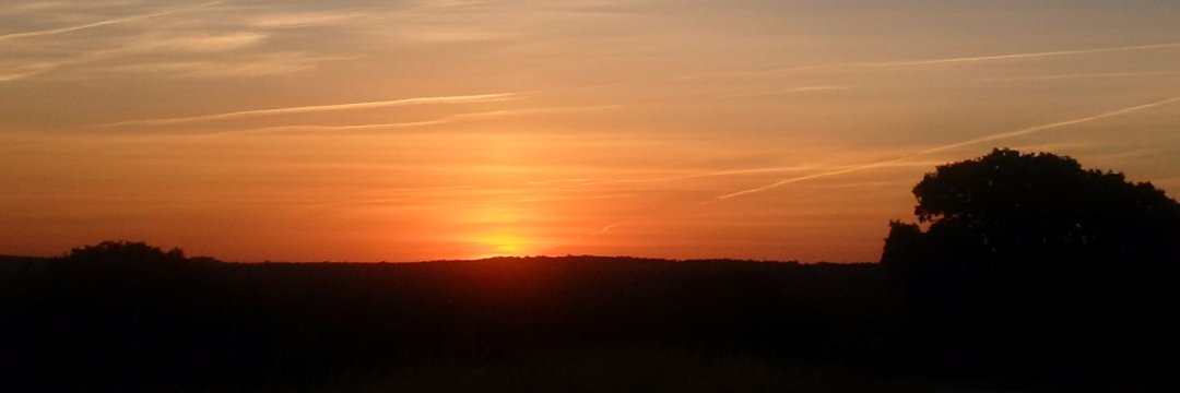 ediazrms's profile banner image