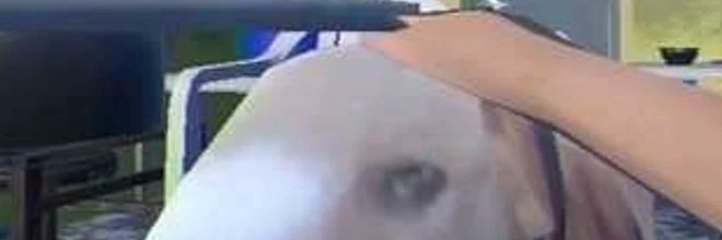 ジュリアス ｜｜JUL banner