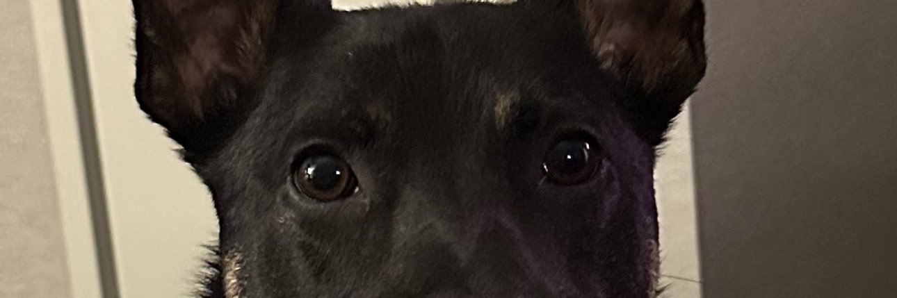 TanerHarrel's profile banner image