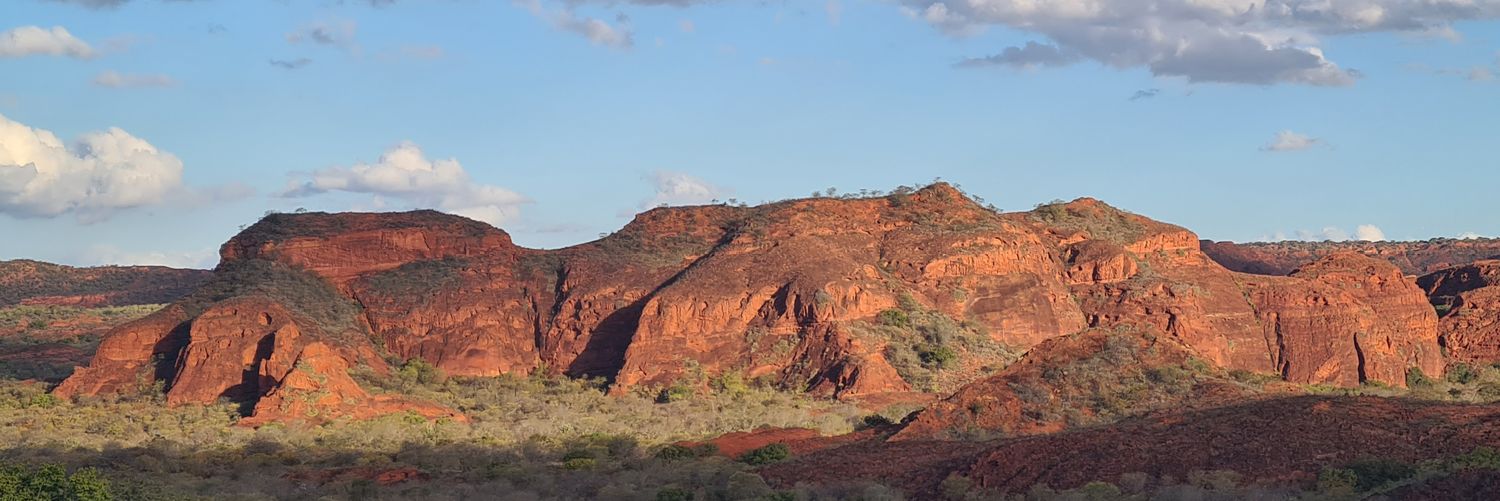 Fabio (o último Naturalista) banner