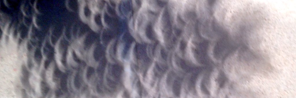bones261's profile banner image