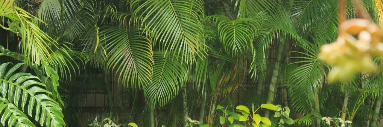 askavlekar's profile banner image