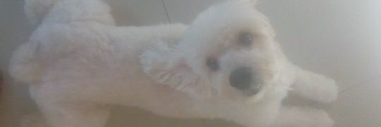 httpcrizay's profile banner image