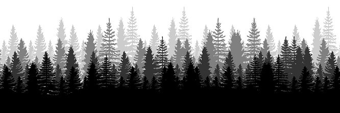 Jaymes banner