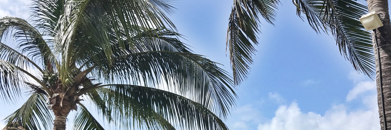 brittanyander's profile banner image