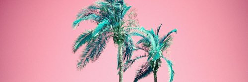 _xchiara's profile banner image