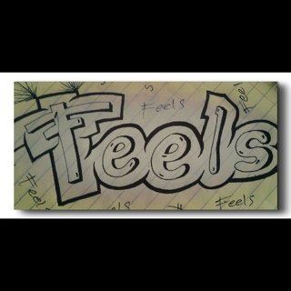 Feels Band banner