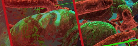 Traffic Journal banner