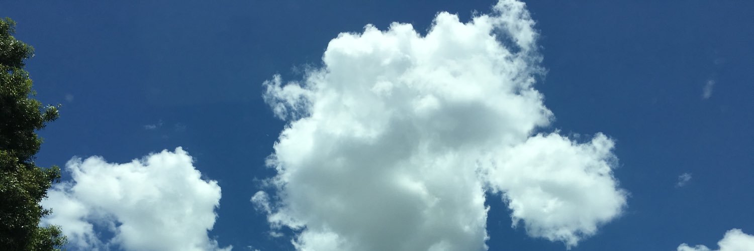 fatimamieles's profile banner image