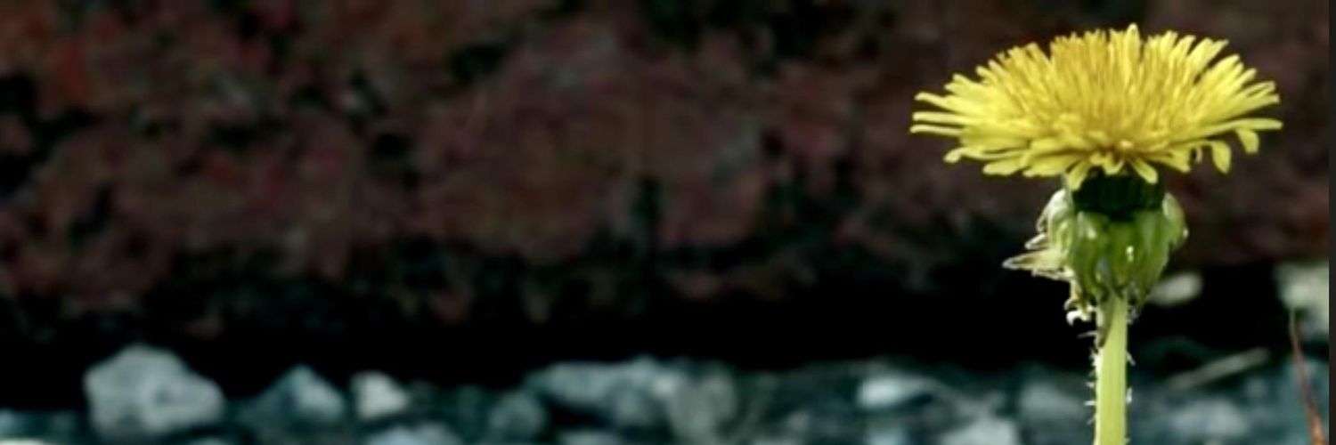 lukeee_g's profile banner image