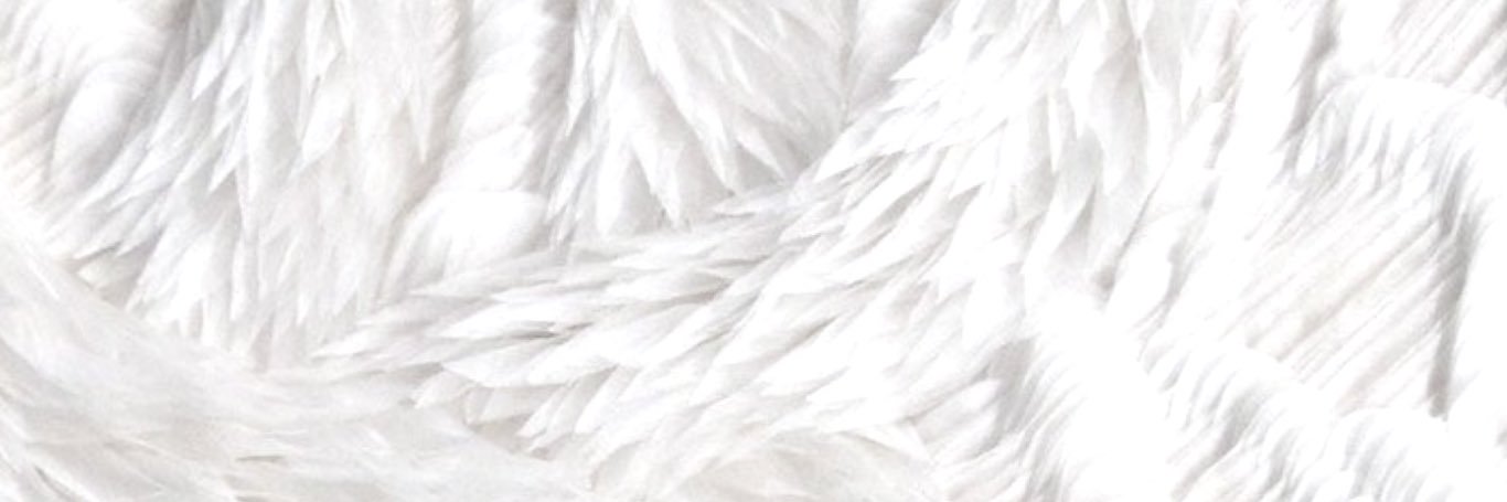 summeraziah's profile banner image